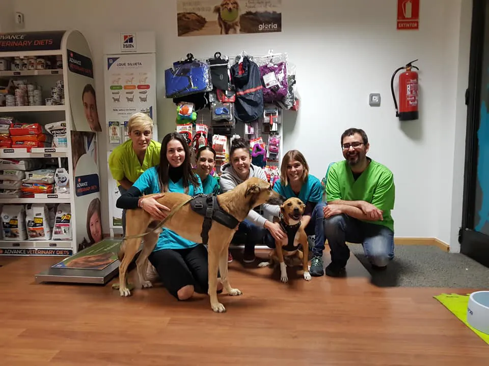 centro veterinario fierecillas (10)